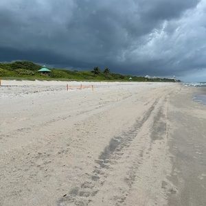 Meet your Posher, Mindy